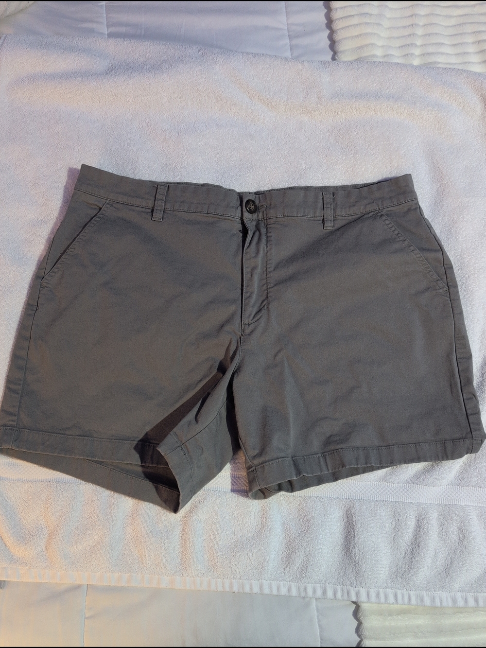 Chubbies Gray Flat Front Men's Shorts